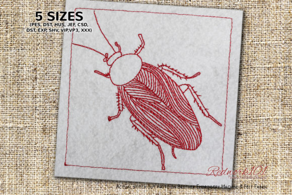 Blattodea Beetle Redwork Review