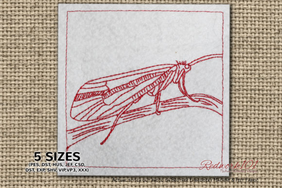 Caddisfly on Leaf Embroidery Review