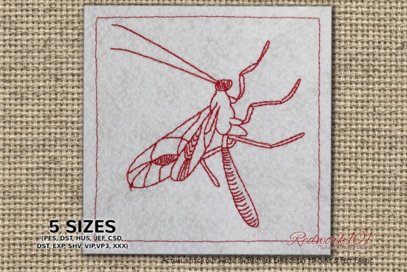 Ichneumonidae Embroidery Review for Seasonal Use