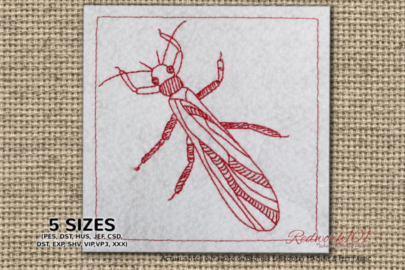 Stoneflies Insect Bluework Review