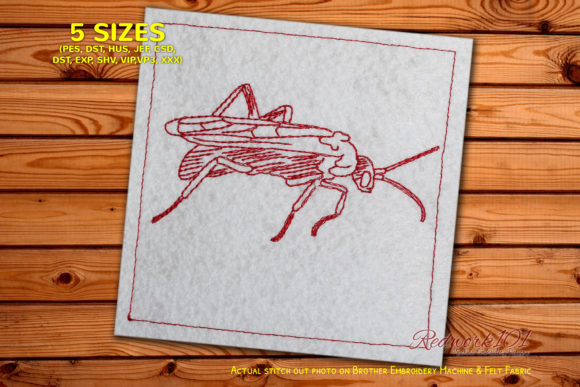 Tarantula Hawk Lineart Review for Business Embroidery