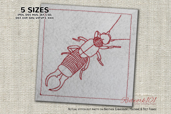 Wild Earwig Lineart Review for Embroidery Projects
